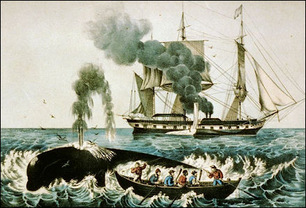 20120521-Whaling Walfang_zwischen_1856_und_1907.jpg